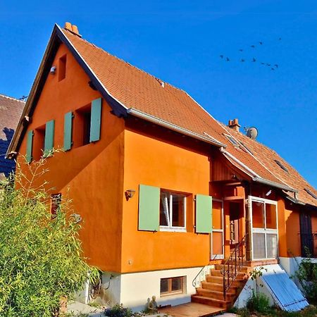 Beau Logement Au Centre D'Alsace Epfig ภายนอก รูปภาพ